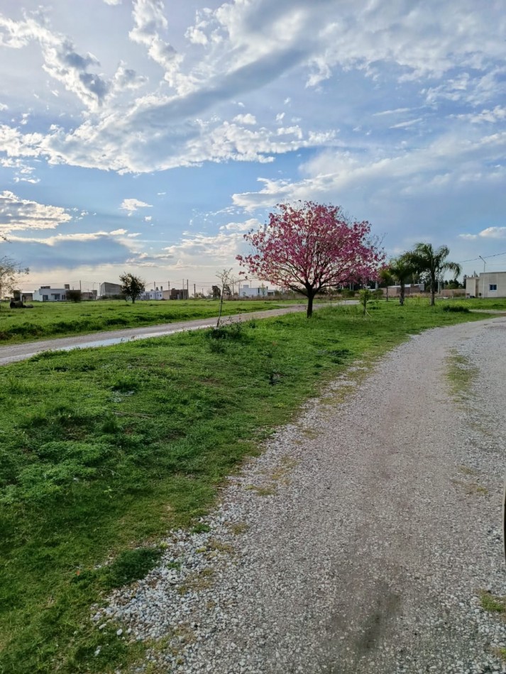 LOTES EN VENTA - PORTAL NORTE.