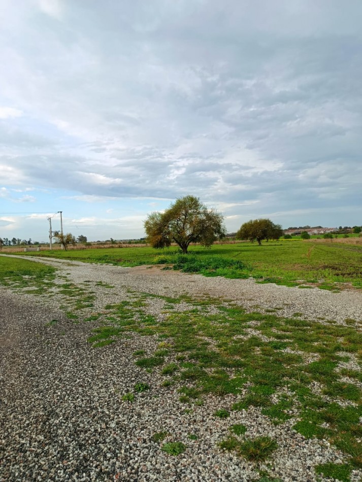 LOTES EN VENTA - PORTAL NORTE.