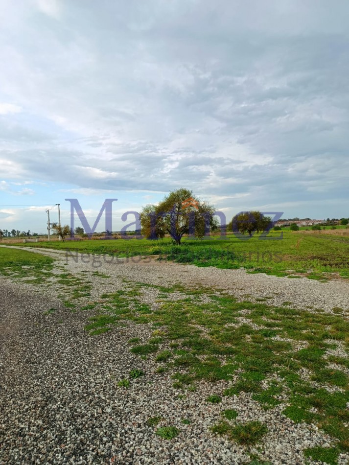 LOTES EN VENTA - PORTAL NORTE.